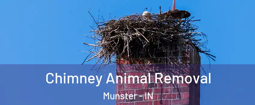 Chimney Animal Removal Munster - IN