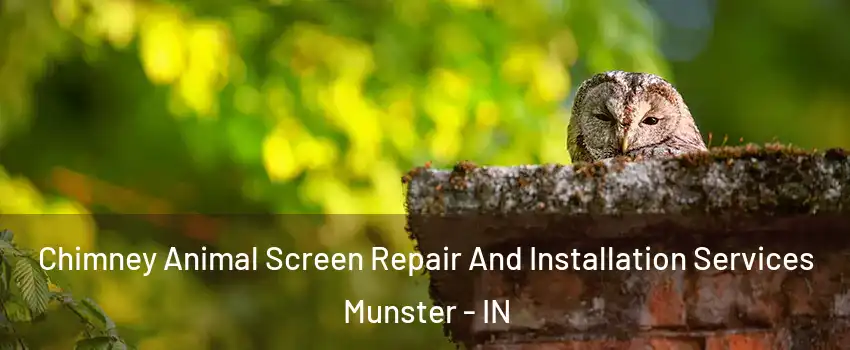  Chimney Animal Screen Repair And Installation Services Munster - IN
