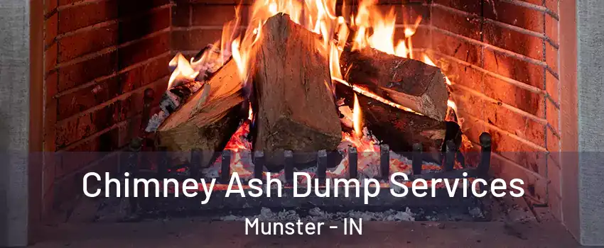  Chimney Ash Dump Services Munster - IN