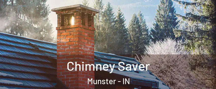  Chimney Saver Munster - IN