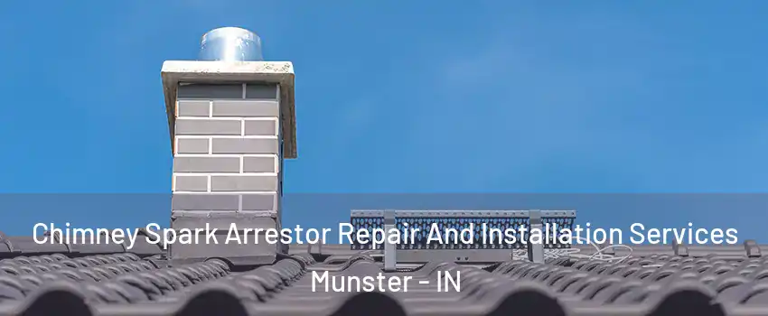  Chimney Spark Arrestor Repair And Installation Services Munster - IN