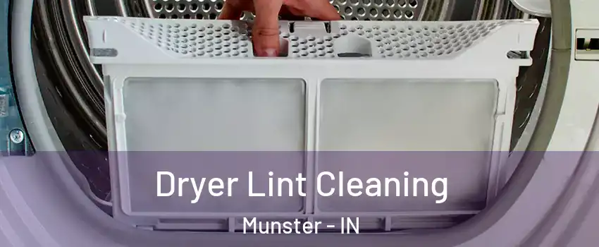  Dryer Lint Cleaning Munster - IN