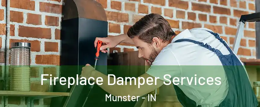  Fireplace Damper Services Munster - IN