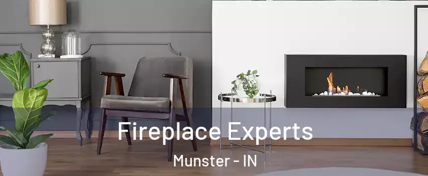  Fireplace Experts Munster - IN