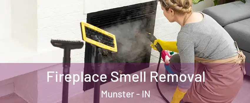  Fireplace Smell Removal Munster - IN