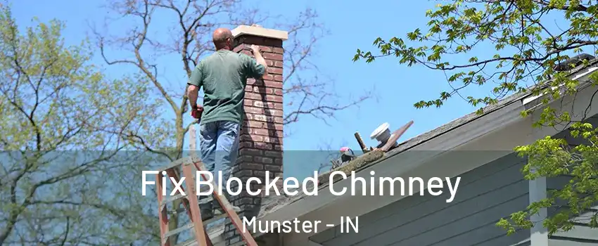  Fix Blocked Chimney Munster - IN