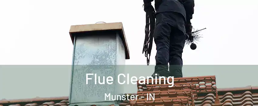  Flue Cleaning Munster - IN