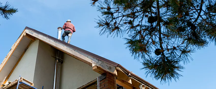 Birds Removal Contractors from Chimney in Munster, IN