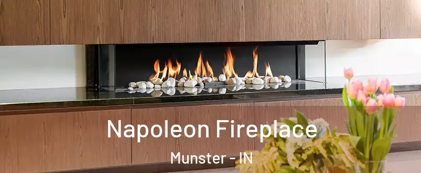  Napoleon Fireplace Munster - IN